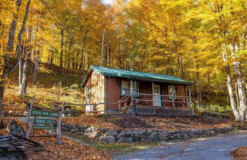 Cabin in the woods w/ WIFI close to Monongahela National Forest - Foto 17