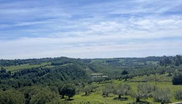 Sunrise View House Halkidiki! - Foto 5