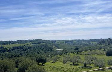 Sunrise View House Halkidiki! - Foto 5