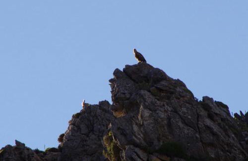 Zorbas Rooms - Photo 27