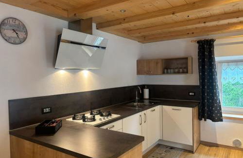 Apartments Fabiola - Foto 42