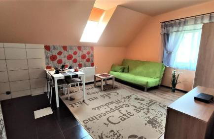 Apartamenty Pilsko Korbielów komfortowe mieszkania dla rodzin i narciarzy w Beskidach - Foto 18