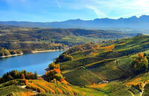 Appartamento Da Romina con parcheggio gratuito - Photo 39