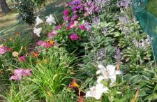 Lawendowy Domek nad jeziorem Szteklin - Foto 11