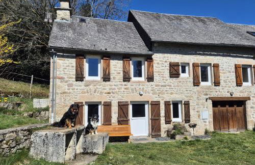 NESST - Gîte Horse & Dog Friendly Cottage - Foto 1