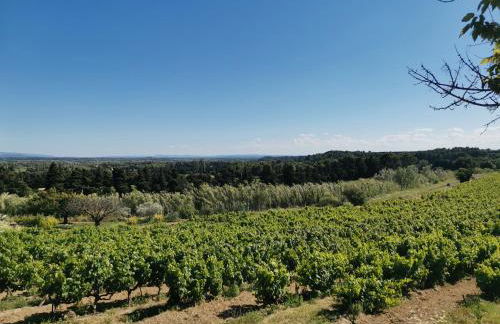 Mas du Tilleul - Foto 35