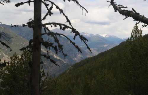 Maison du Roy/ Upper Cambers - Foto 69