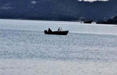 Elegance apartment - Foto 4