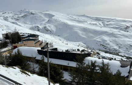 Biznaga Nevada - Foto 36