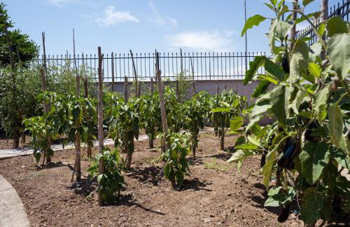 Hotel Agistro - Foto 10