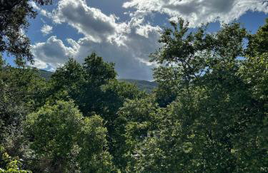 Dimos apartments - Foto 14