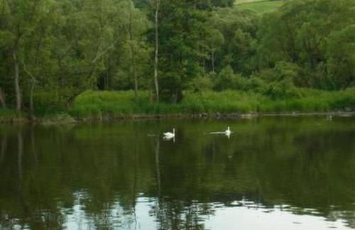 Apartment Reitz by Interhome - Foto 19