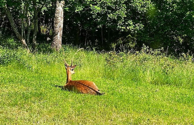 4 Person Holiday Home in Varmdo-by Traum - Photo 3