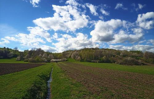 U Ewy pod Brzozami - Foto 53