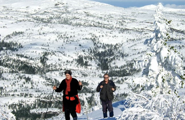 8 Person Holiday Home in Vrådal - Foto 10