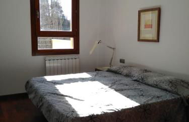 Apartament amb pati a la Vall Fosca, tranquilitat i bones vistes - Foto 15