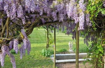 Maison de maître Azay Le Rideau - 8 personnes - Foto 11