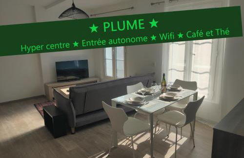 Appartement T3 PLUME Hyper centre d'ERNÉE - Foto 1