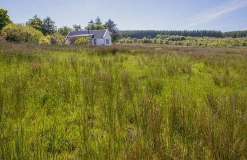 Finnan's Byre - Foto 33