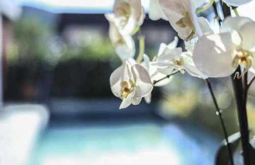 Ferienhaus mit Panoramablick - Foto 8