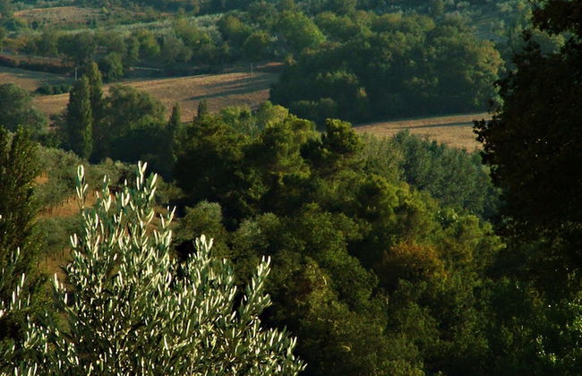 Farmhouse in Giano Dell'umbria with Hot Tub, Swimming Pool - Foto 23