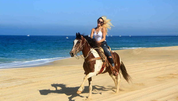 Trotting on the beach