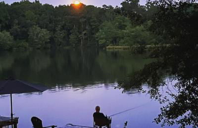 Charming Romantic Lakefront Cottage or Guest Room Depending on Availability Near Golf - Foto 8