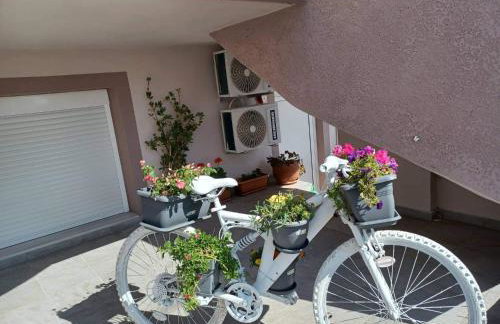 Comfort House Mimosa 1 - Foto 30