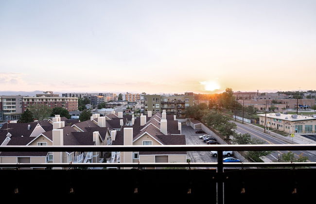 Bold & Elevated | Espadin LoHi - Foto 33