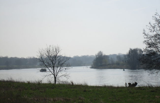 Lovely Cottage near Lake in Well - Foto 33