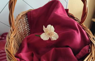 Casa dos Caseiros N2 - Foto 42