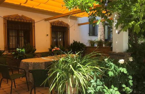 Paredejas del Rey - Foto 7