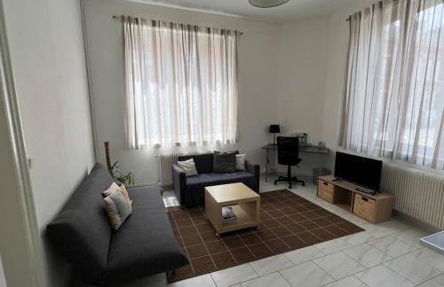 Belle maison quartier Henriville, proche centre - Foto 28