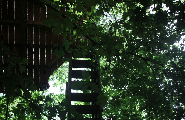 Ô bois dormant - Foto 54