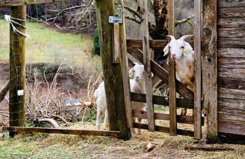 Prinzbachhof - Foto 11