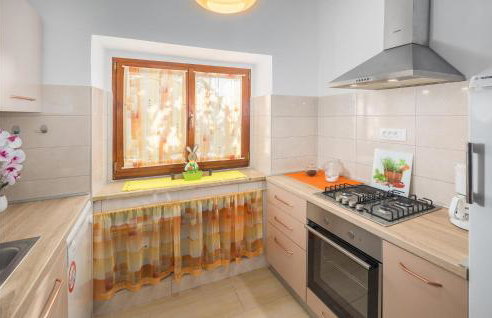 Awesome Home In Zminj - Foto 4