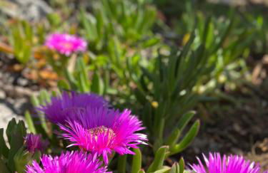 Villetta DaGré fronte mare - Foto 7