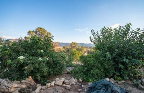 Ranch at Mesa Verde - Foto 23