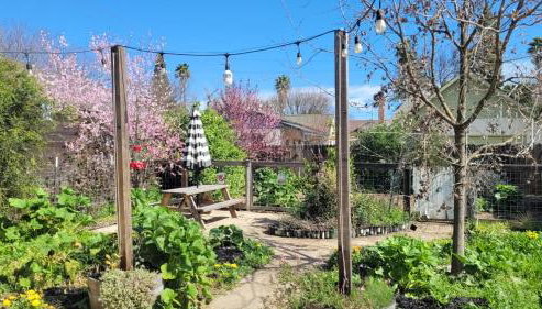 Craftsman 3BR Walk to UC Davis Pet-Friendly - Foto 5, Garden