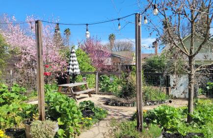 Craftsman 3BR Walk to UC Davis Pet-Friendly - Foto 5