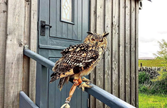 Bespoke Hand Built Shepherds Hut in Dunbeath - Foto 31