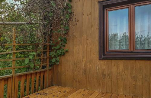 Kałamunka - Foto 25