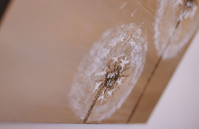 Appartements Sulzer by we rent - Foto 32