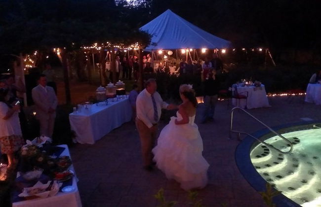 7 Bedroom Manor near Appomattox & Lynchburg - Photo 45