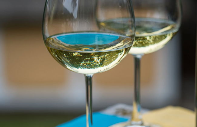 Villa Montale Apartment I Limoni - Foto 12