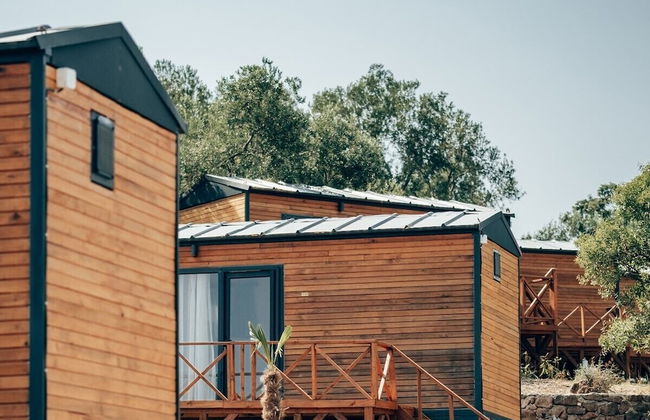 Şamata Kamp - Foto 1