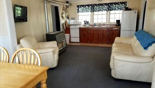 Charming Vacation Cabin with Waterfront Views on Pine Lake, Michigan - Foto 3