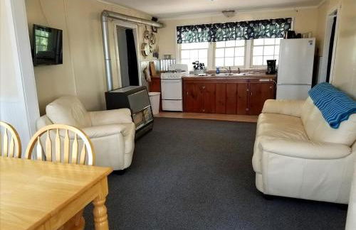 Charming Vacation Cabin with Waterfront Views on Pine Lake, Michigan - Foto 3