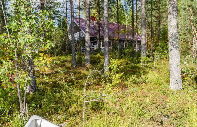 Metsätähti - Foto 5