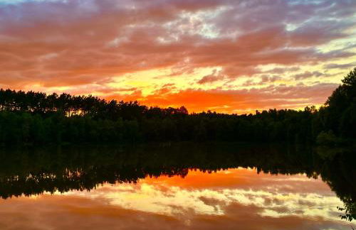 Haus 8 am Grimnitzsee mit Sauna - Photo 25